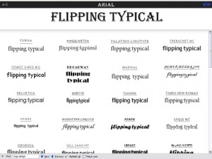 Flipping-Typical Flipping Typical
