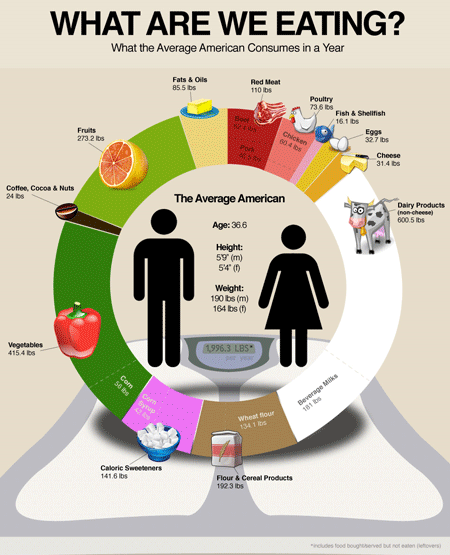 what-are-we-eating-visual
