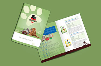 Sunguard Elevators brochure