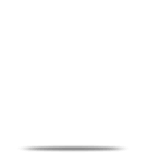 hire magento developer