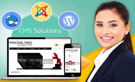 custom cms web development