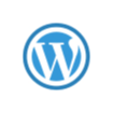 Hire WordPress Developer