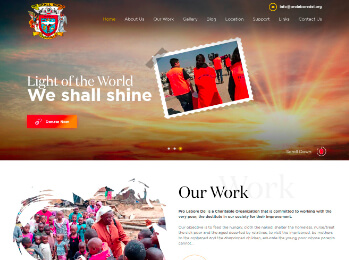 Non-profit Organization