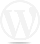 wordpress development services