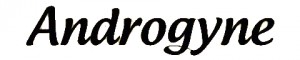 Androgyne Medium Fonts