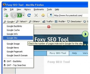 Foxy SEO-Tool