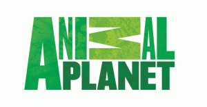 animal planet logo